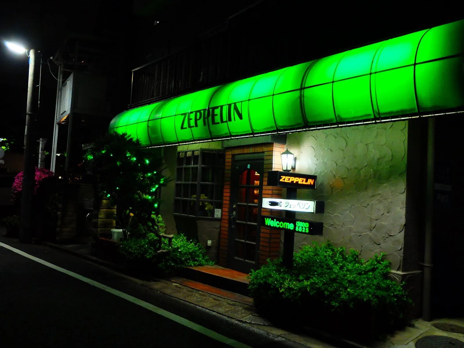 Zeppelin 매장 사진